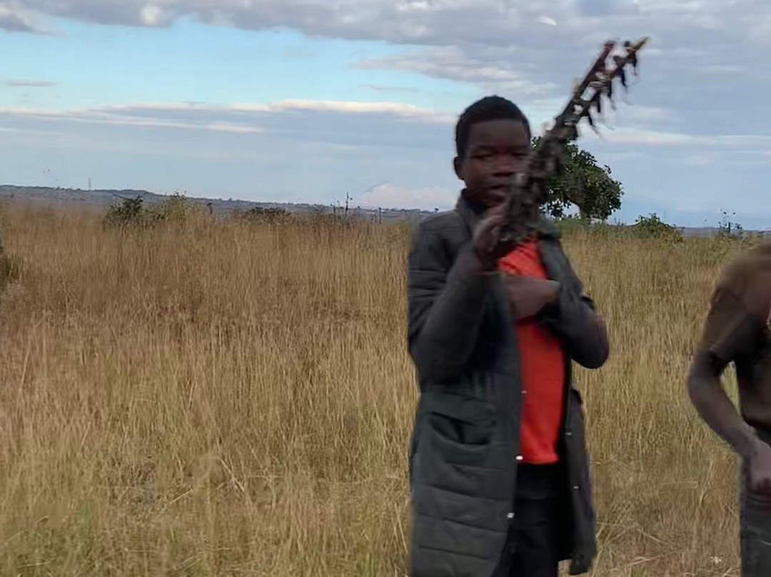 The Belgian Executive主图