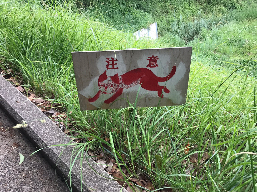Matsuyma Garden Art Museum景点图片