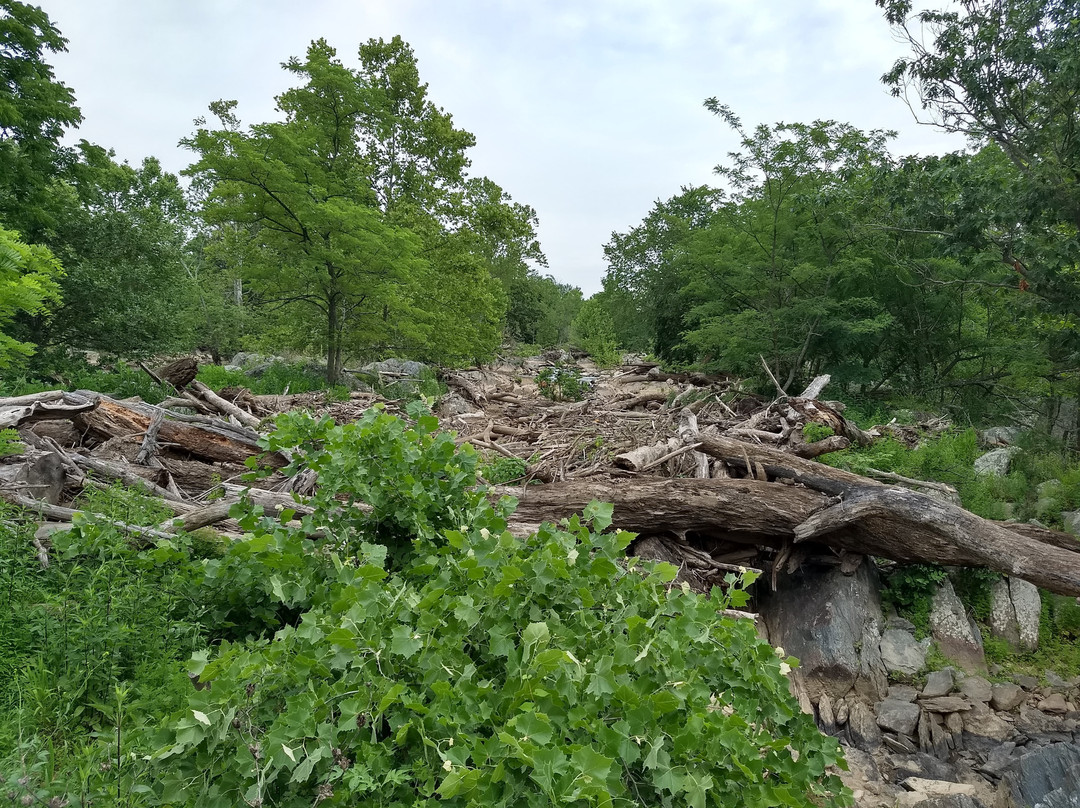Olmsted Island景点图片