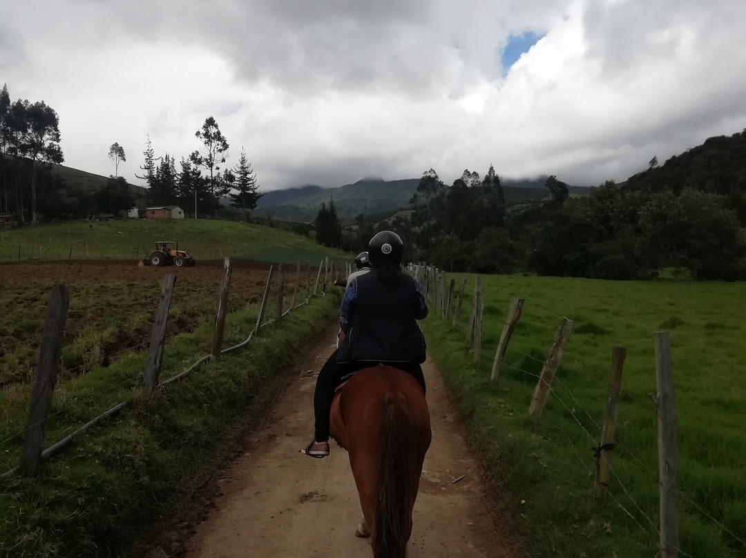 Termales Aguas Calientes Guasca景点图片