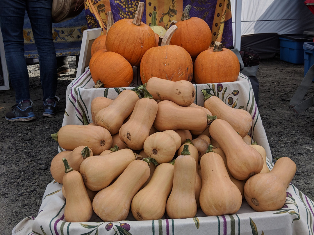 Marché public de Magog-梅戈格必去景点