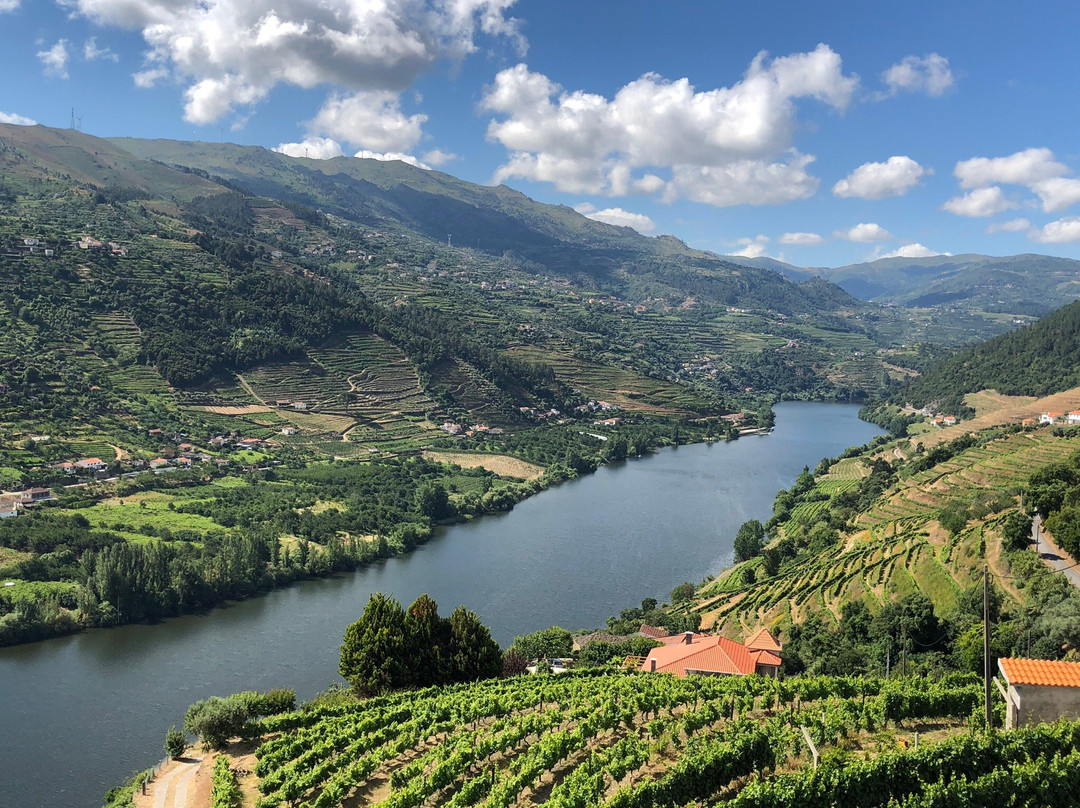 The Douro Valley景点图片