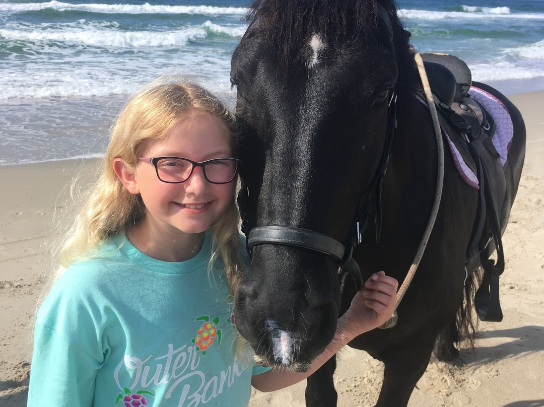 Hatteras Island Horseback Riding景点图片