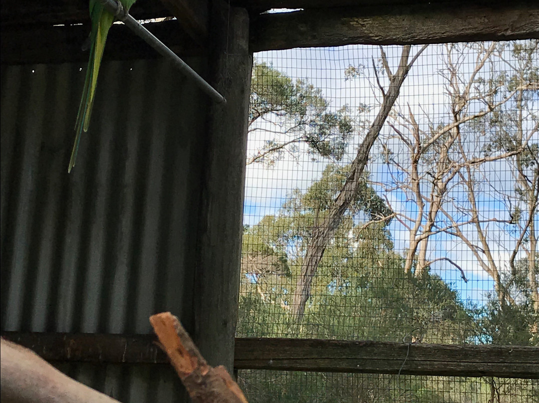 Bayles Fauna Reserve-Koo-Wee-Rup必去景点