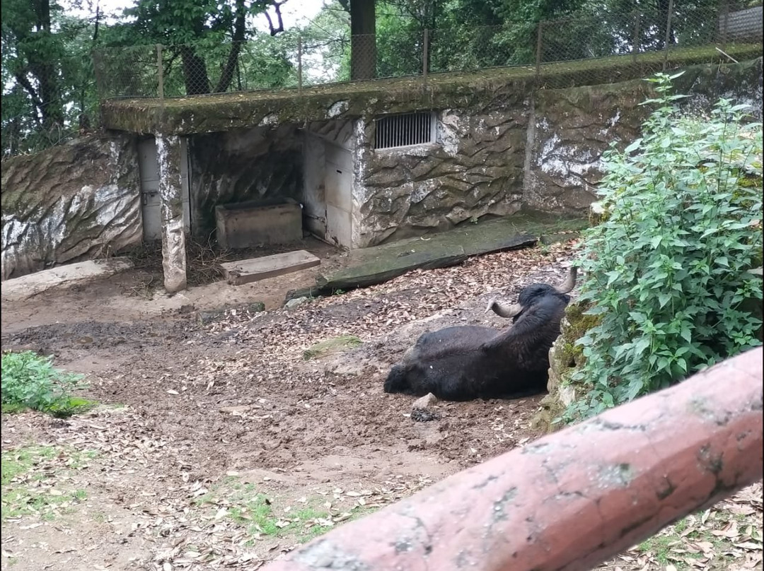 Himalayan Zoological Park-甘托克必去景点