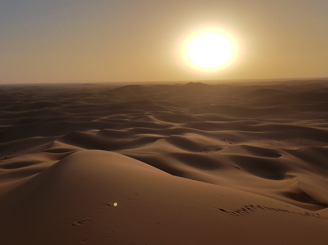 Sahara Trend-迈哈米德必去景点