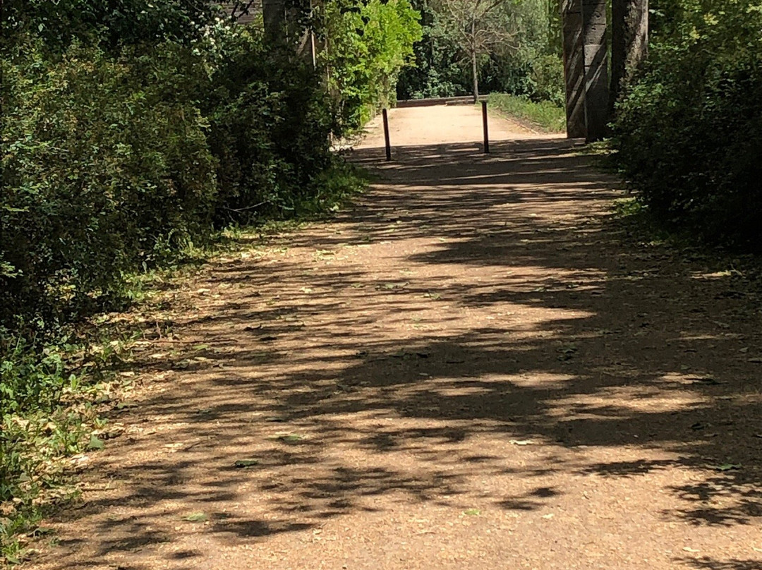 Clara-Zetkin Park-莱比锡必去景点