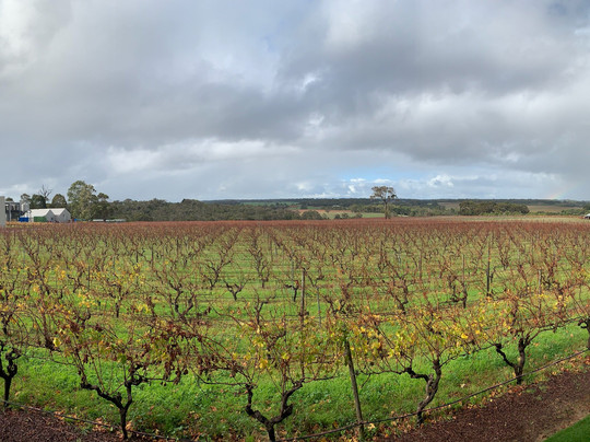 DBM Drivers-戴士柏必去景点