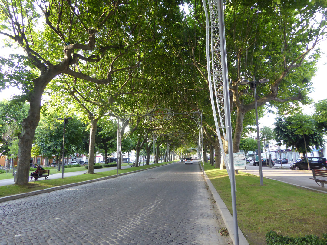Jardim da Praca da Republica景点图片