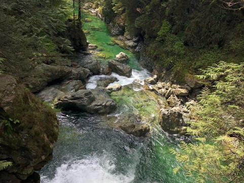 Rugged Adventure Tours-北温哥华必去景点