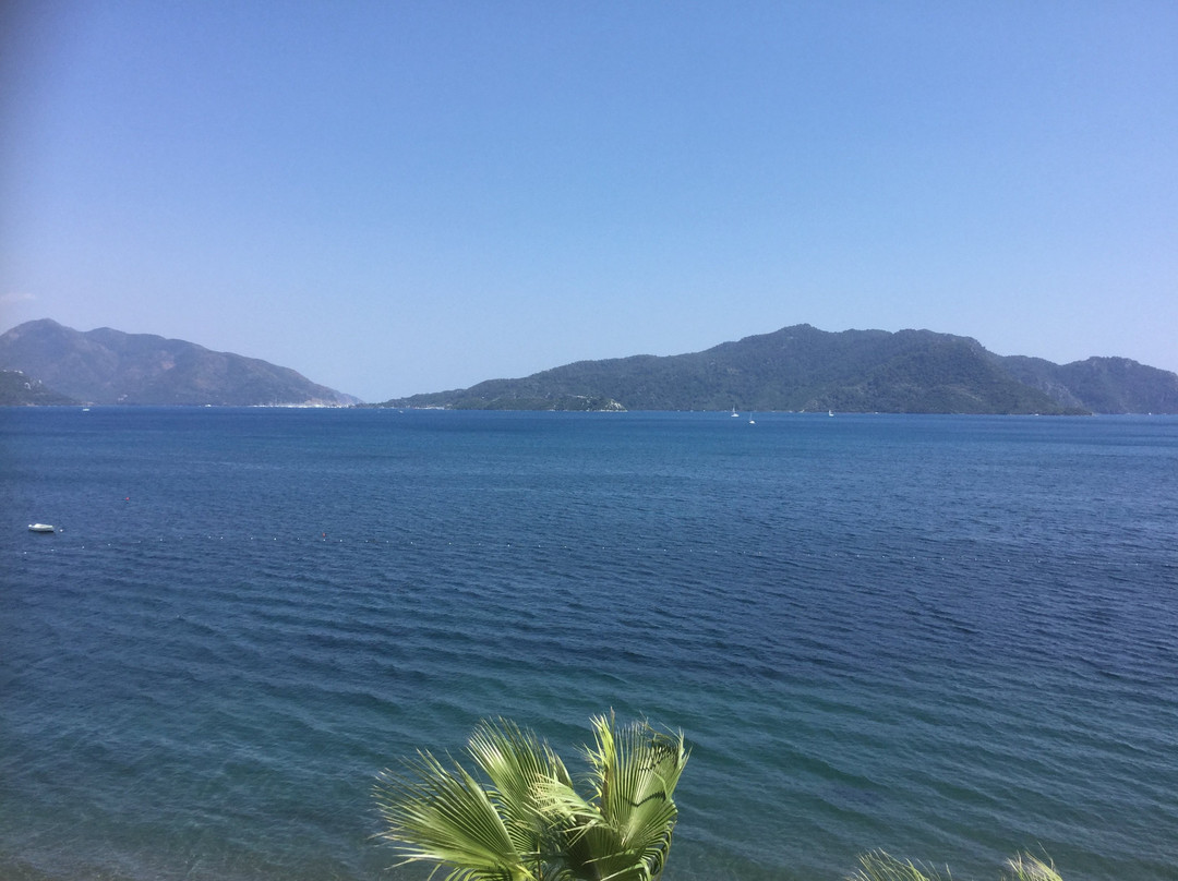 Hotel Marbella主图