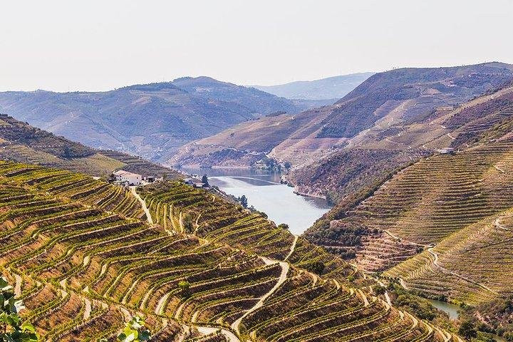 Douro Valley Tours景点图片