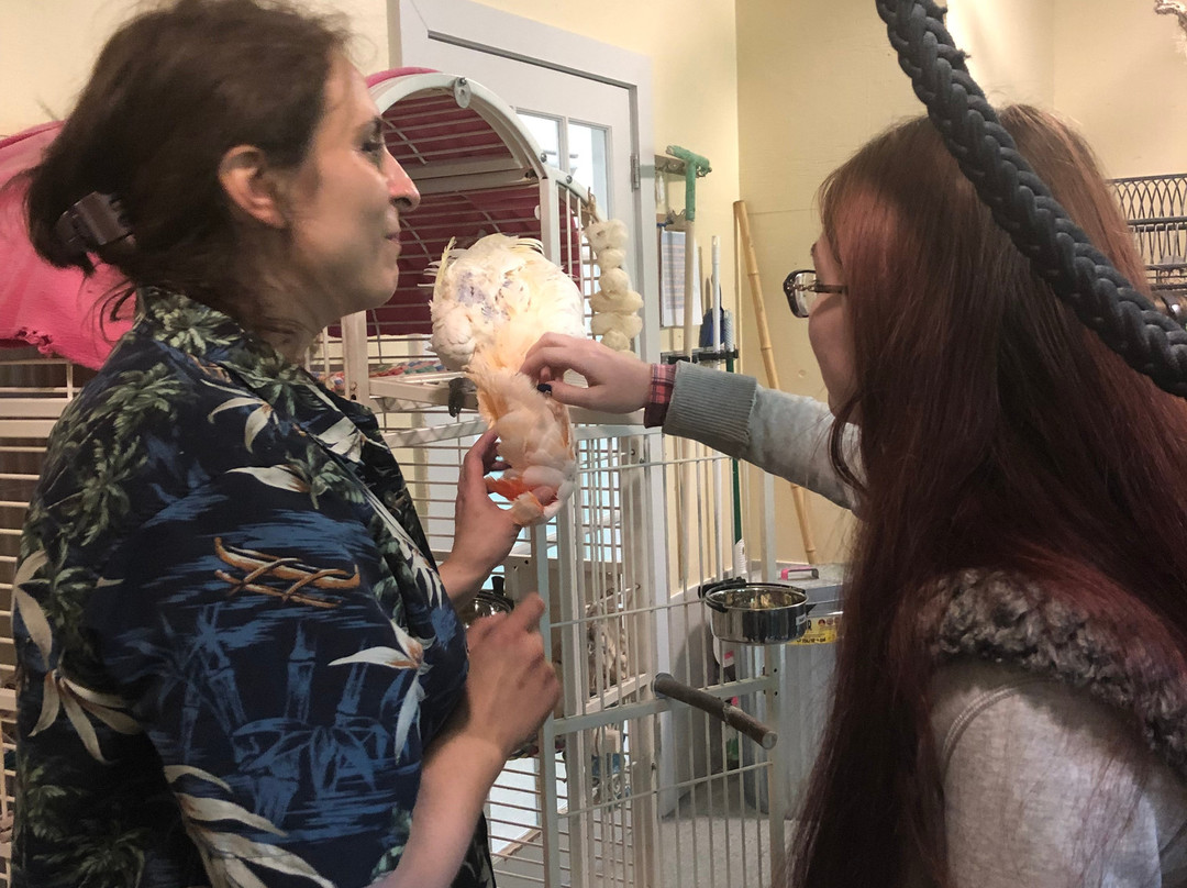 Parrot Partners Canada-Carleton Place必去景点