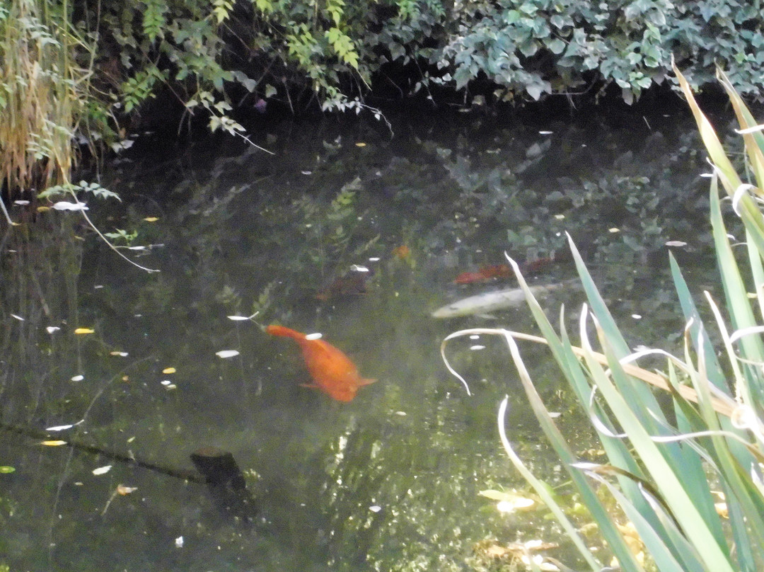 Aquae Sulis Spa & Resort主图