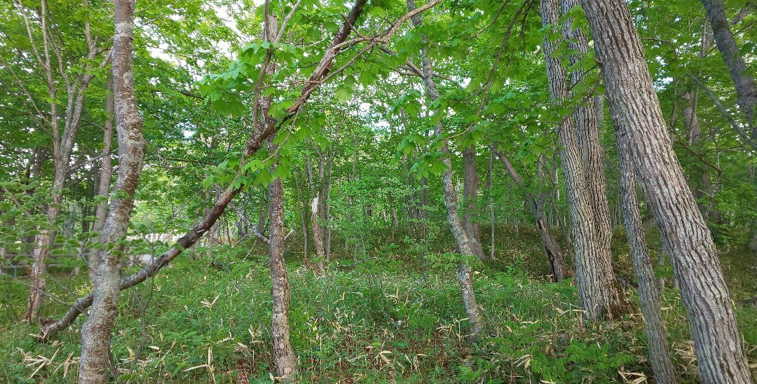 Lake Akan Nature Trail-钏路市必去景点