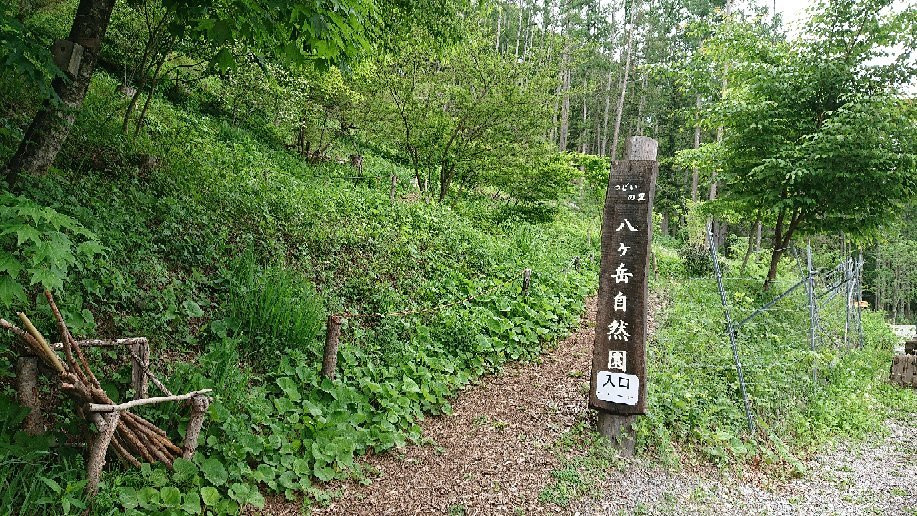 Sanya Soen-茅野市必去景点
