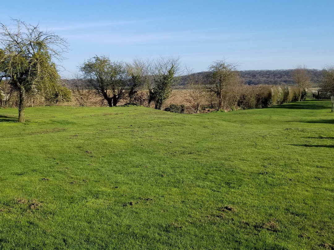 Somerset Levels and Moors景点图片