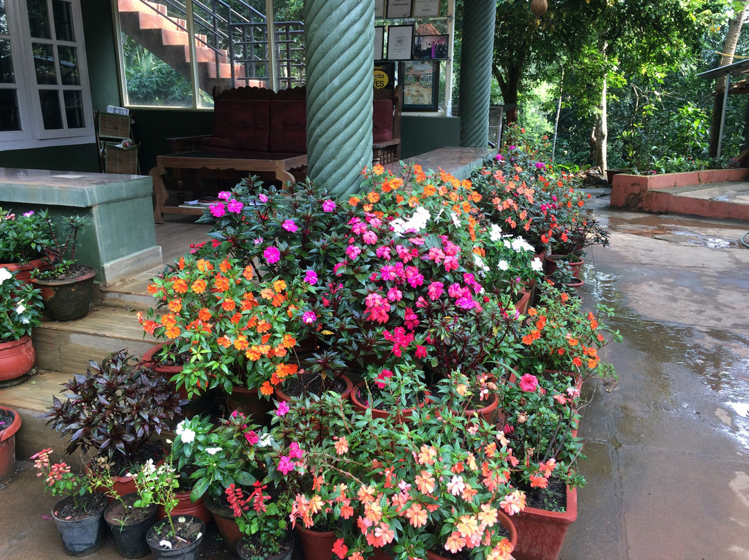 Chilipili Estate Stay主图