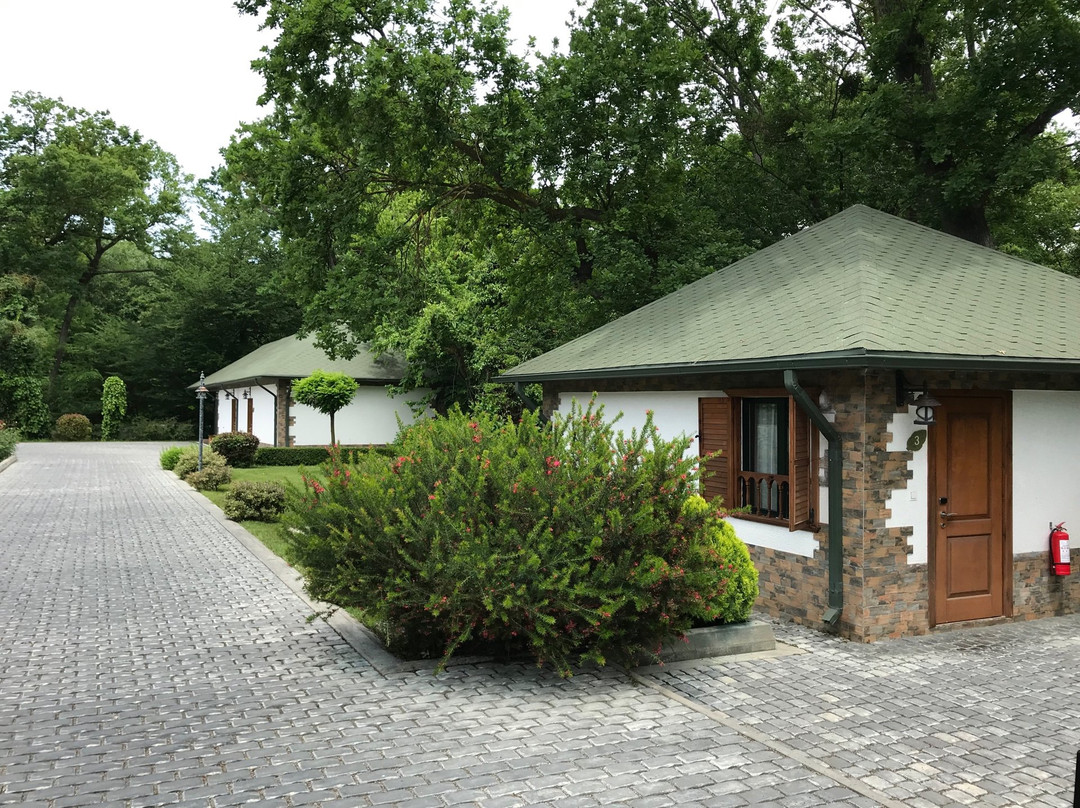 River Inn Resort And Spa主图