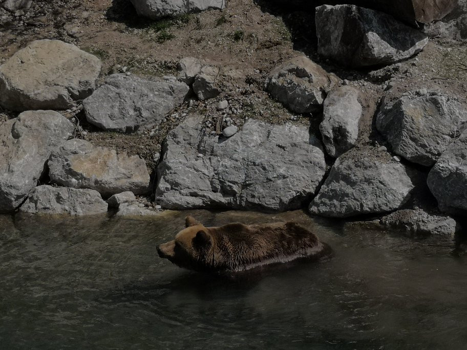 Cumberland Wildpark Grünau景点图片