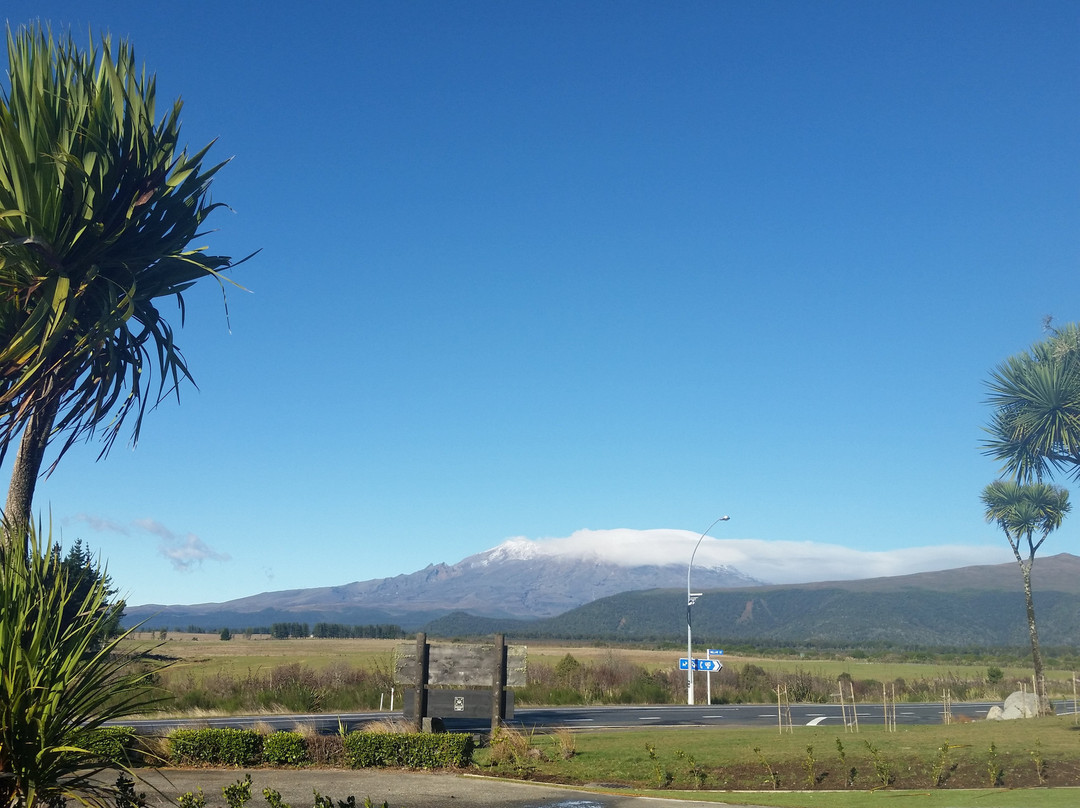 The Park Hotel主图