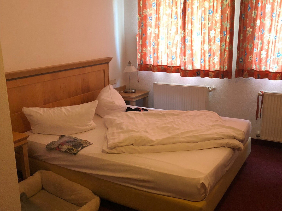 Cross Country Hotel Alt Wittower Krug主图