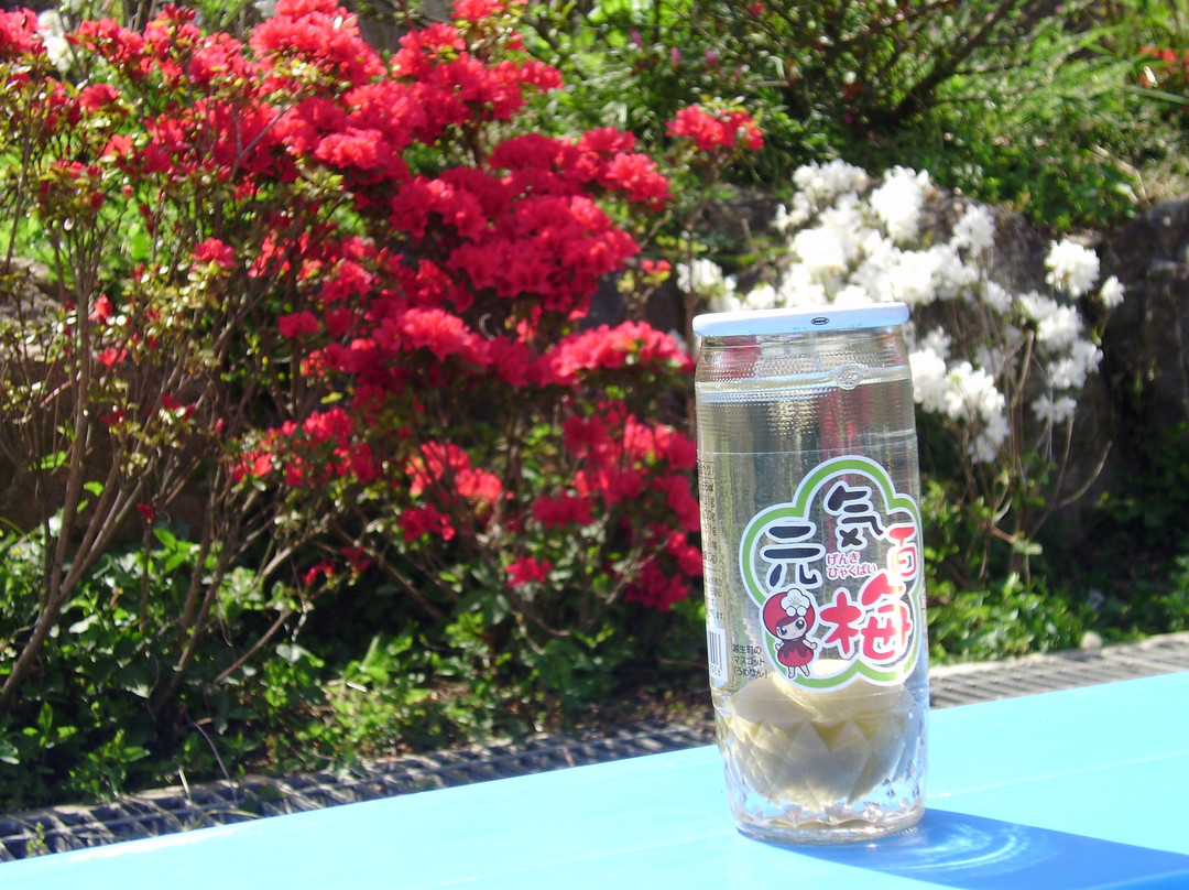 Godaison Azalea Park-越生町必去景点