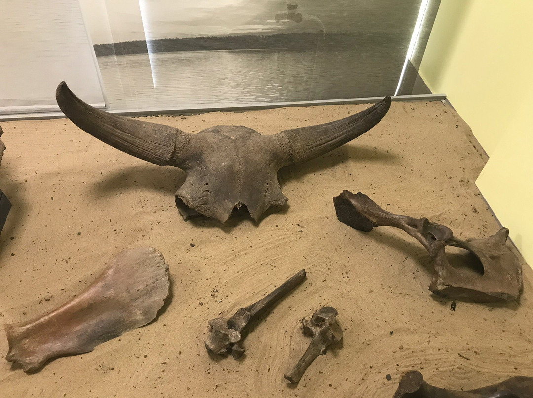 Nizhnevartovsk Museum of Local Lore-Nizhnevartovsk必去景点