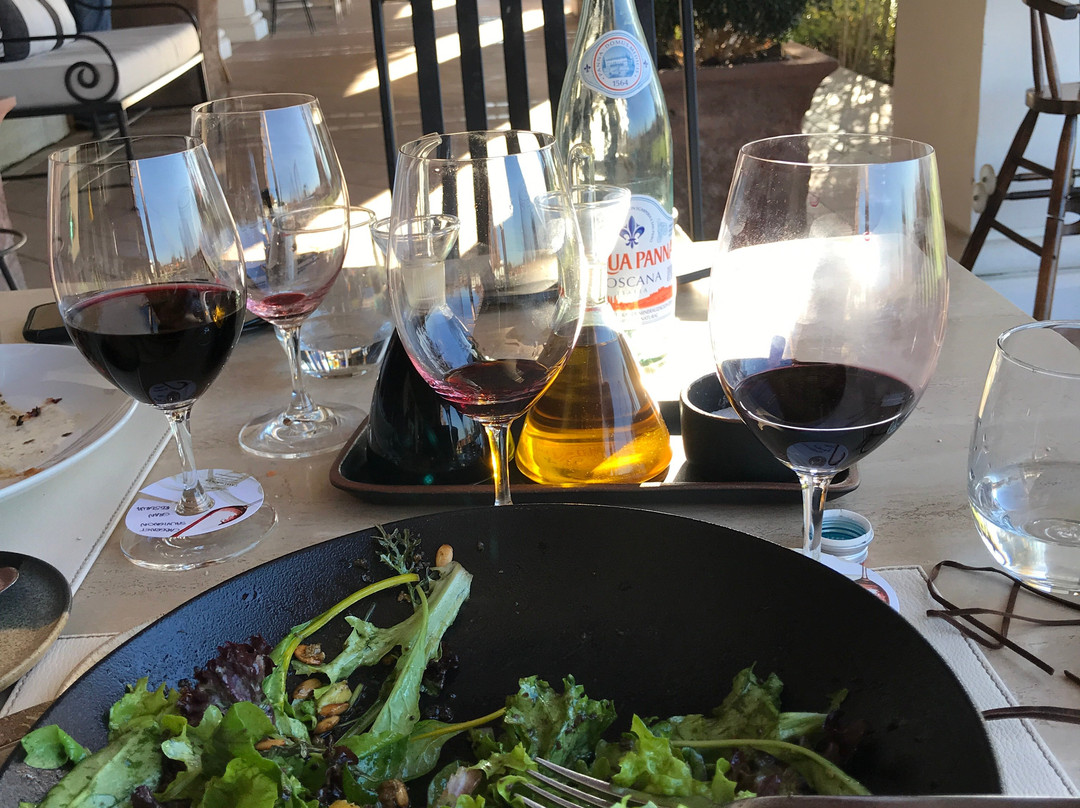 Viña Casas del Bosque-卡萨布兰卡必去景点