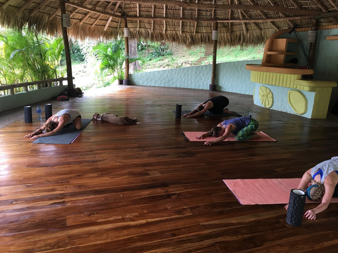 Grateful Surf Yoga & Ayurveda景点图片