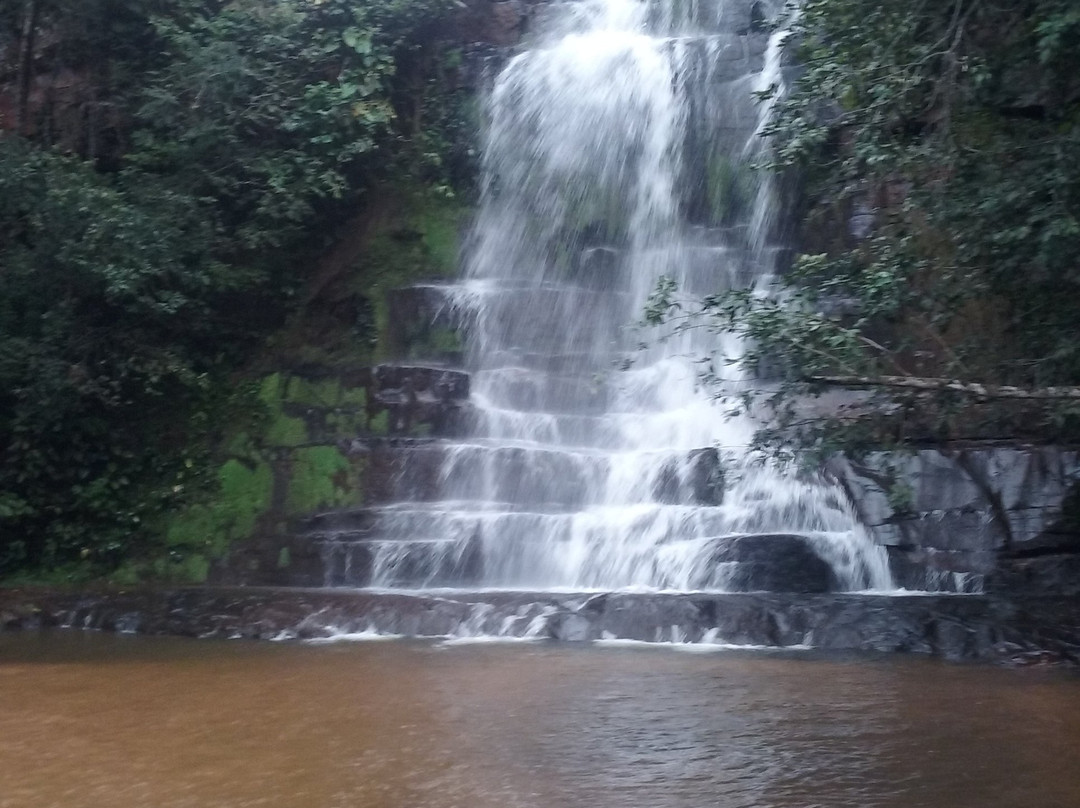 Serra do Roncador景点图片
