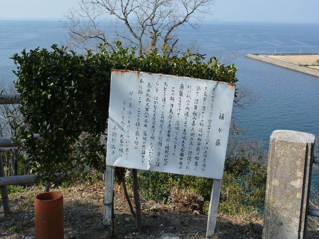 Kawanoe Castle-四国中央市必去景点