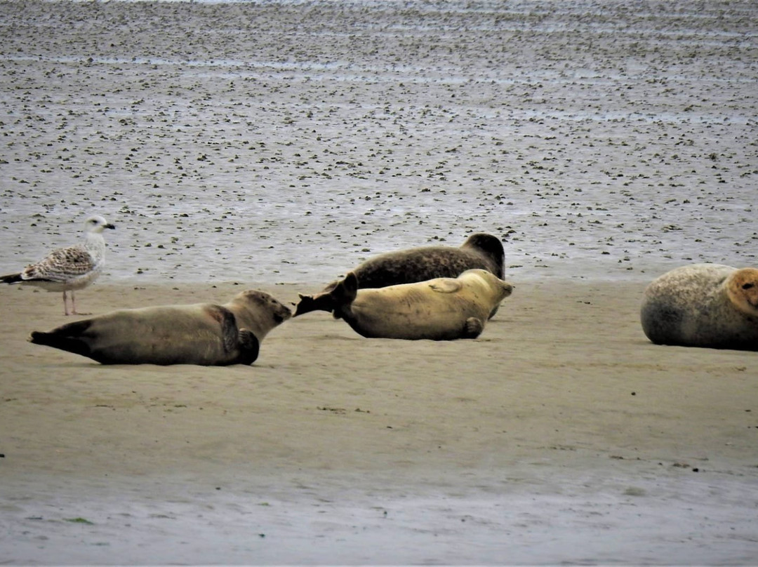 SWRW-Den Oever必去景点