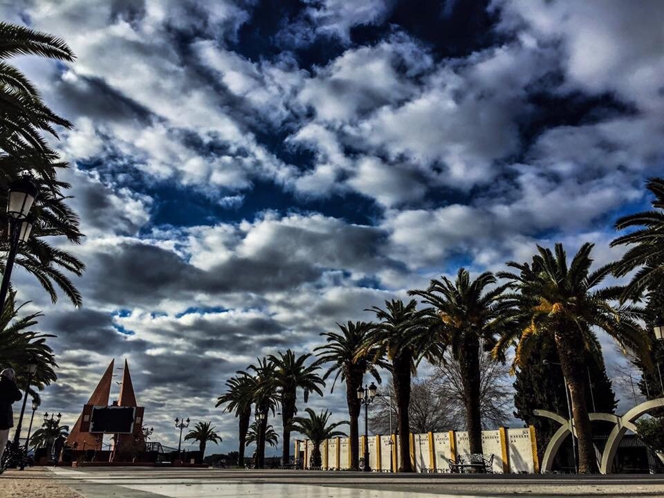 Paseo de las Palmeras景点图片