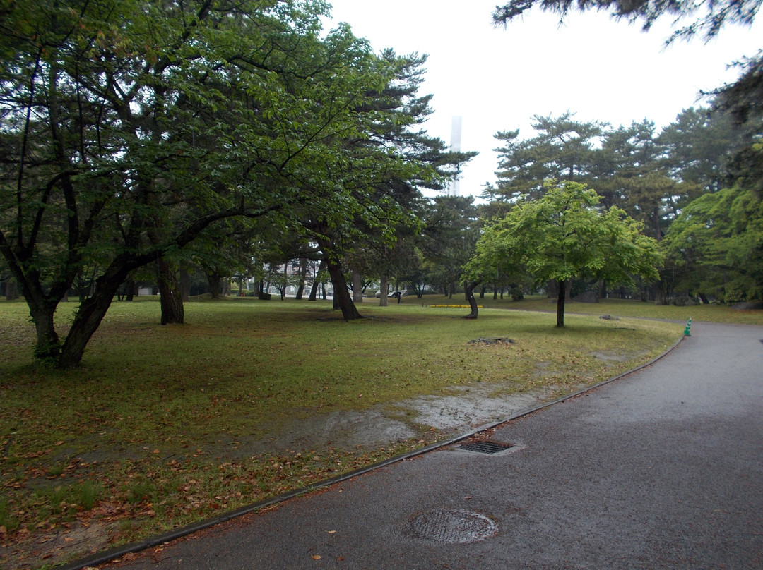 Beppu Park景点图片