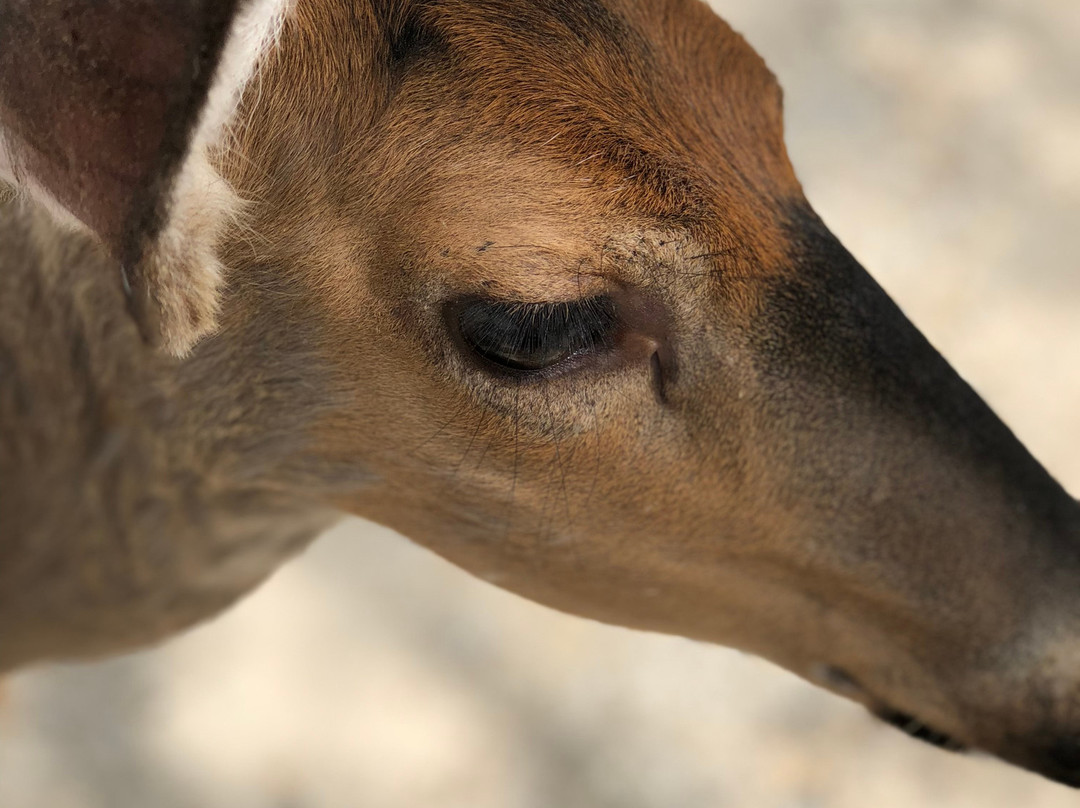 Sweetbriar Nature Center-Smithtown必去景点