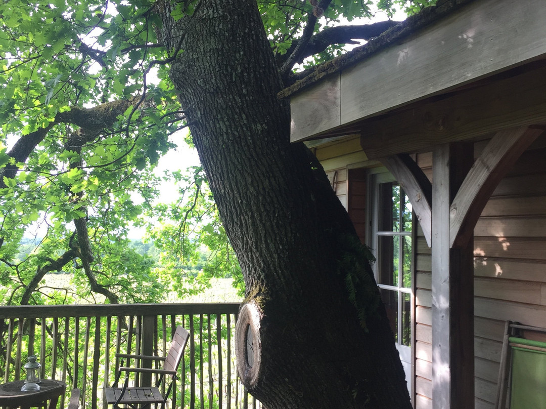 Chateau Lestange主图