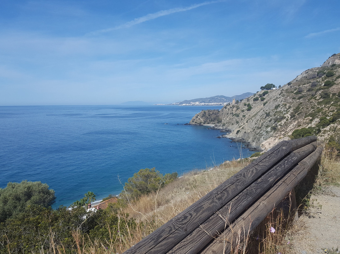 Finca Los Pinos主图