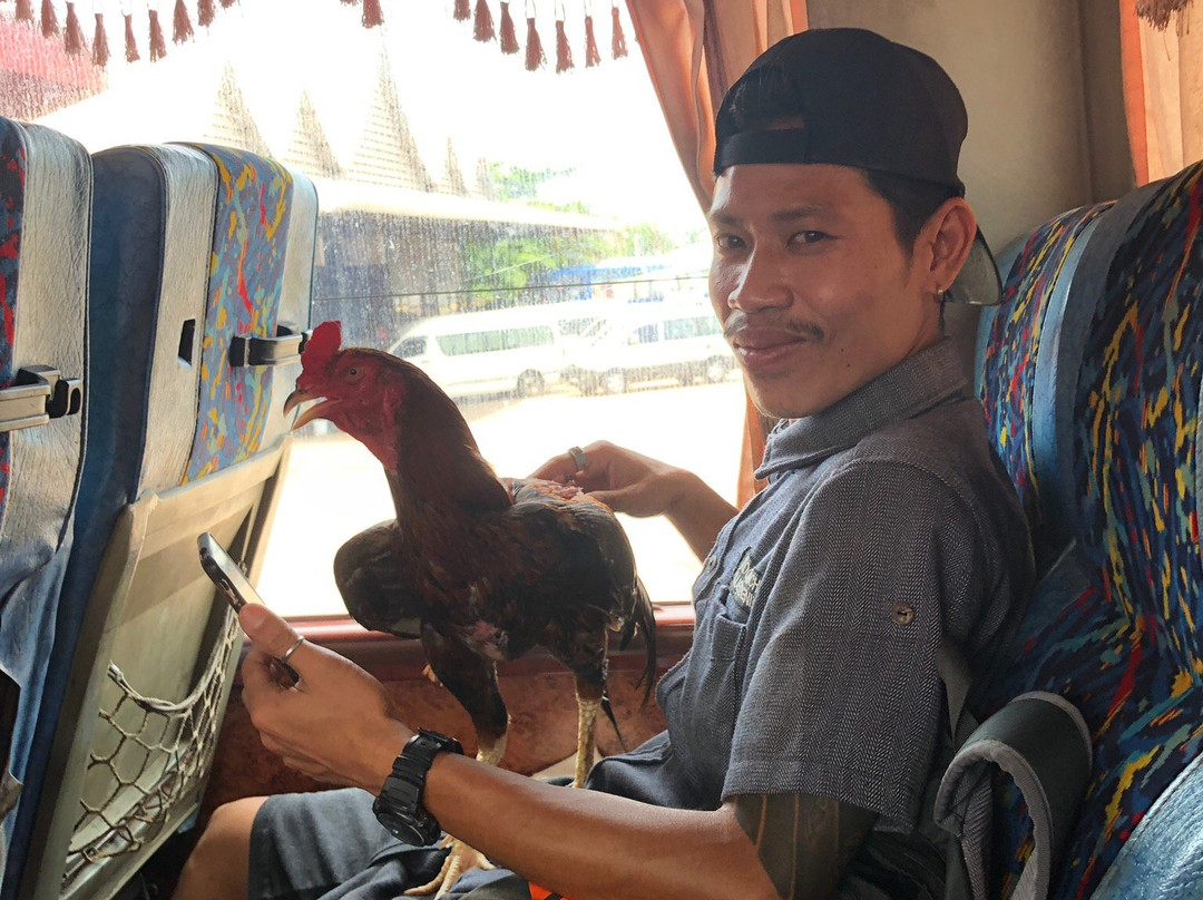 Green Discovery Laos-Thakhek必去景点