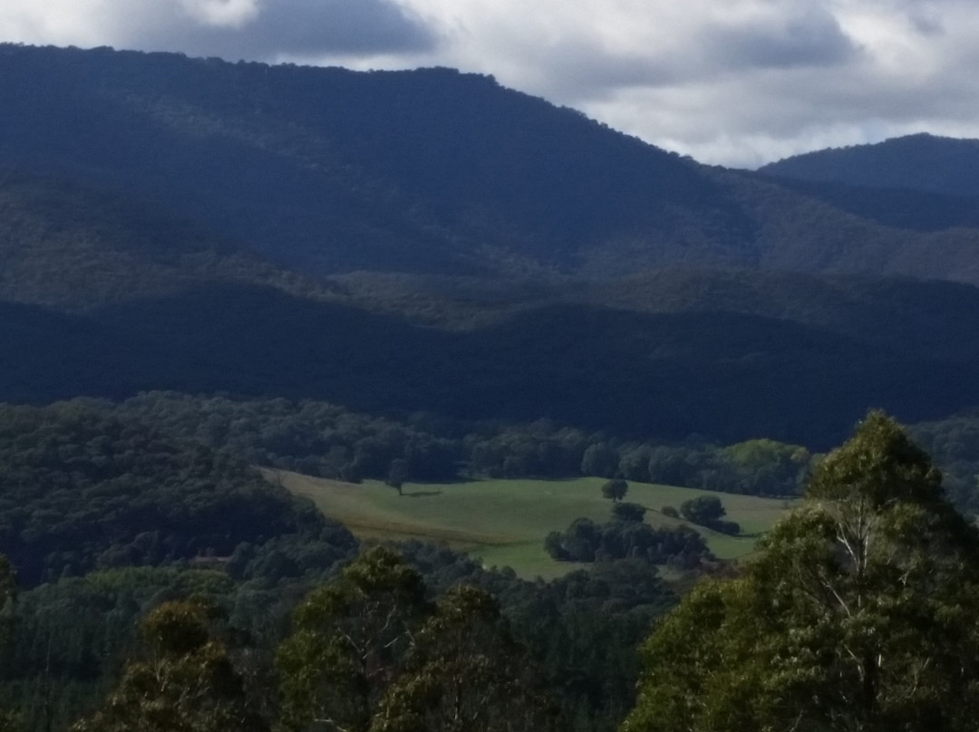 Mt Buffalo Olives-Porepunkah必去景点