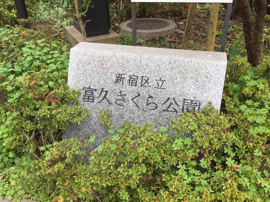 Tomihisa Sakura Park-新宿区必去景点