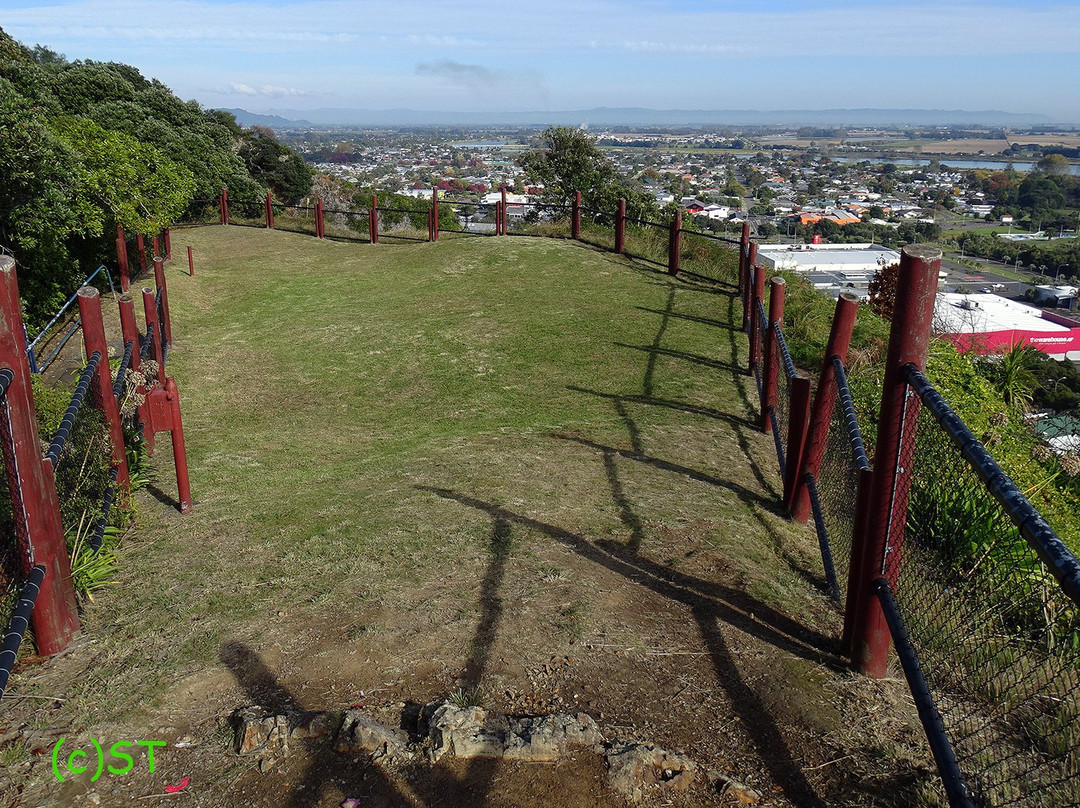 Puketapa Lookout景点图片