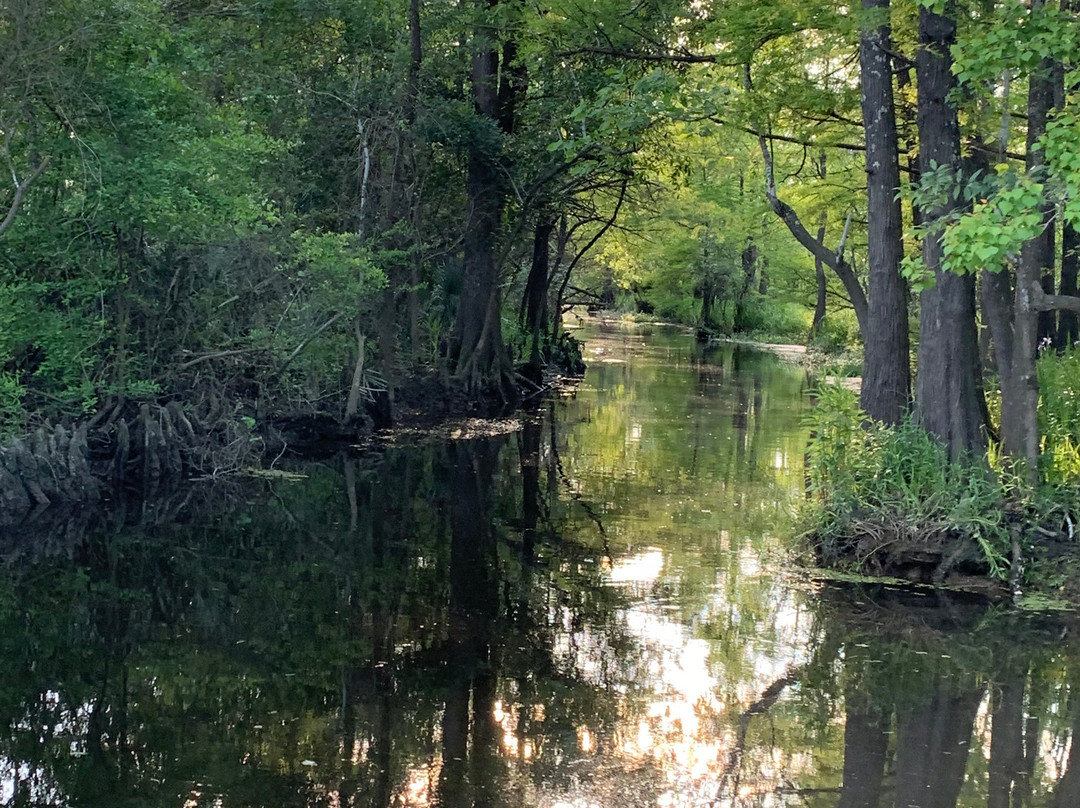 Dragon Lady Airboats-奥兰治必去景点