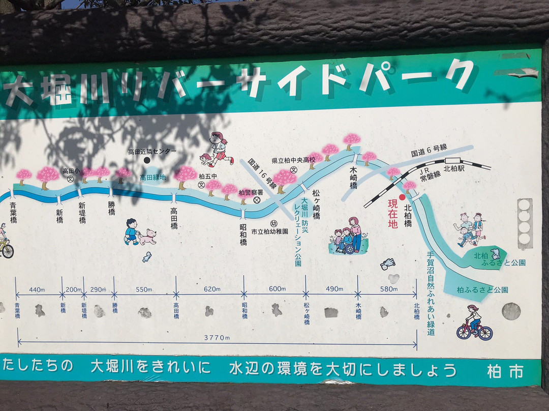 Daihorikawa Riverside Park-柏市必去景点