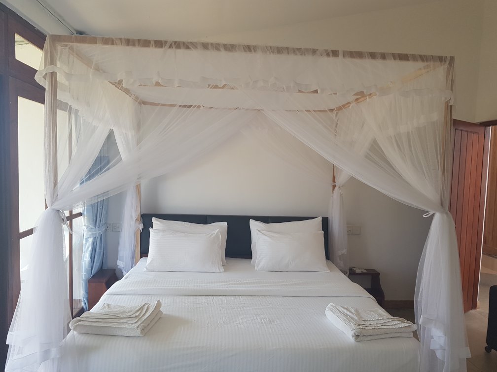 Heaven Upon Rice Fields-官方