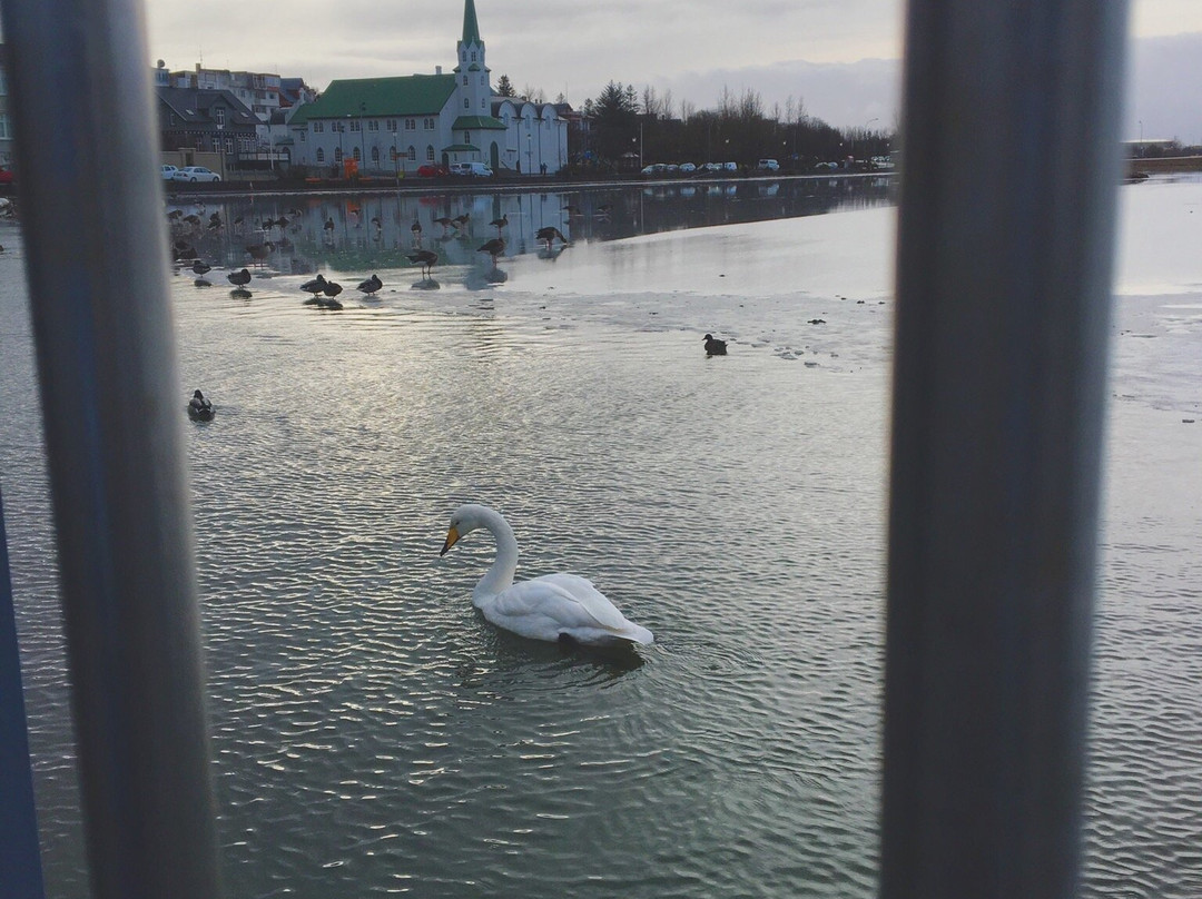 Tourist Information, downtown Reykjavik景点图片