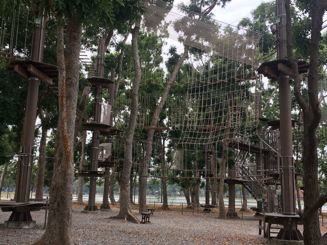 Forest Adventure-新加坡必去景点