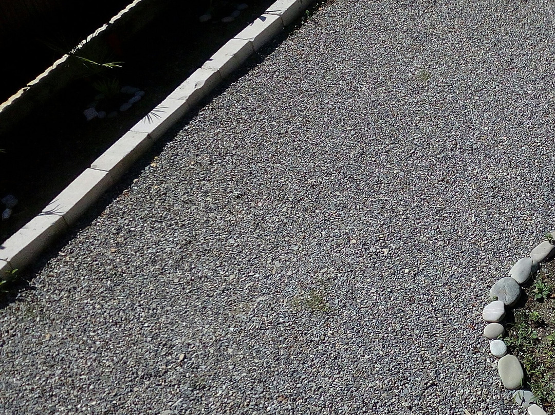 Guesthouse Lesnaya Skazka主图