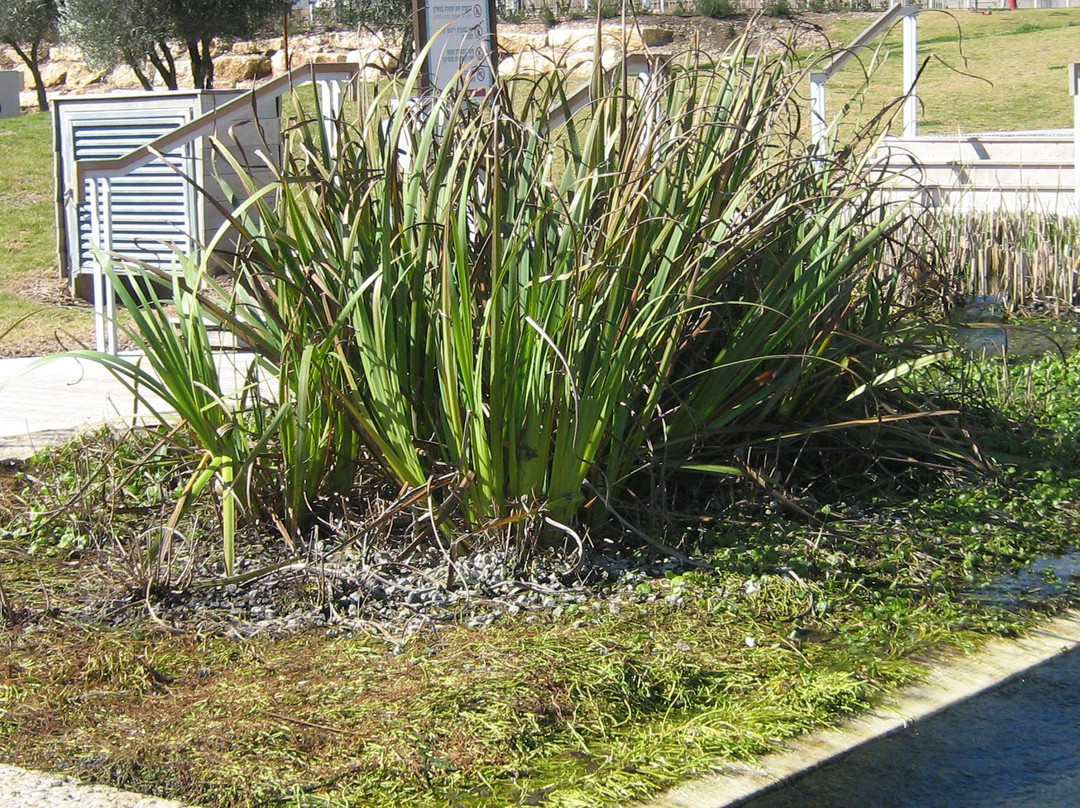 Monfort Lake-Ma'alot-Tarshiha必去景点