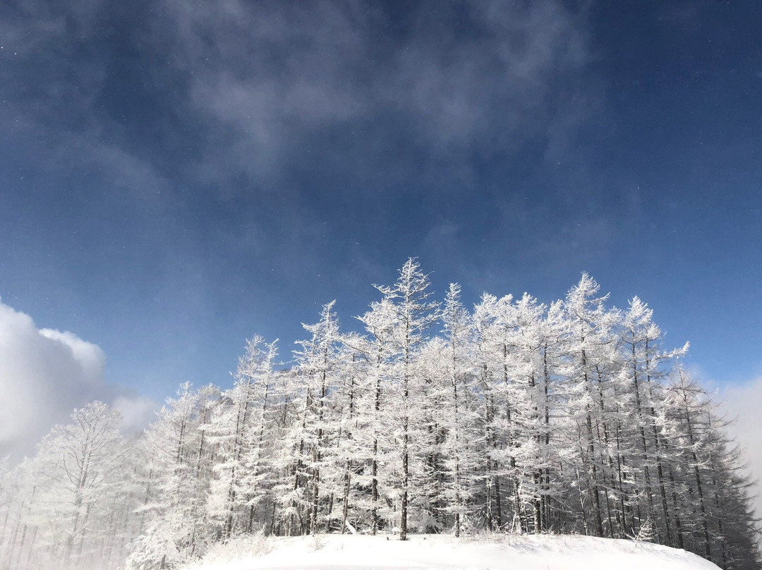 Yunomaru Ski Area景点图片